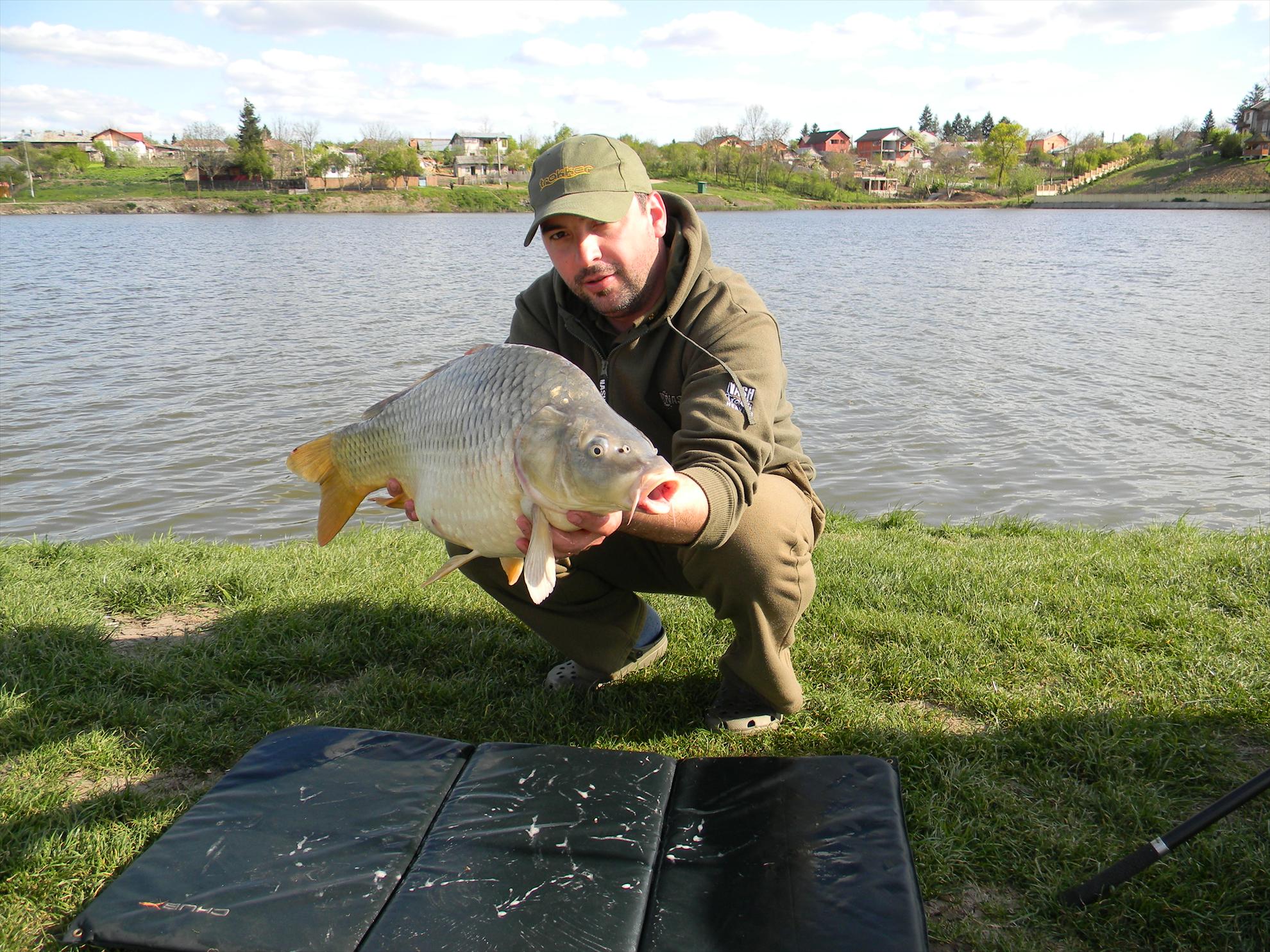 Capturi - dscn0306.JPG